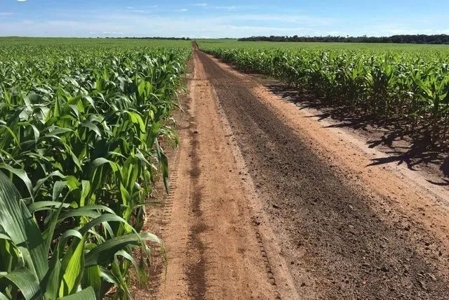 Fazenda de 4.808 hectares em Riachão - MA