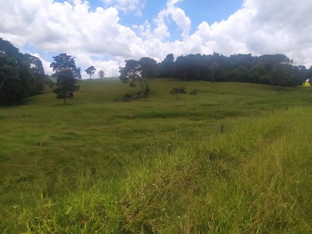 Vende-se chácara de 06 alqueires em Itauçu-Go  - Foto 3