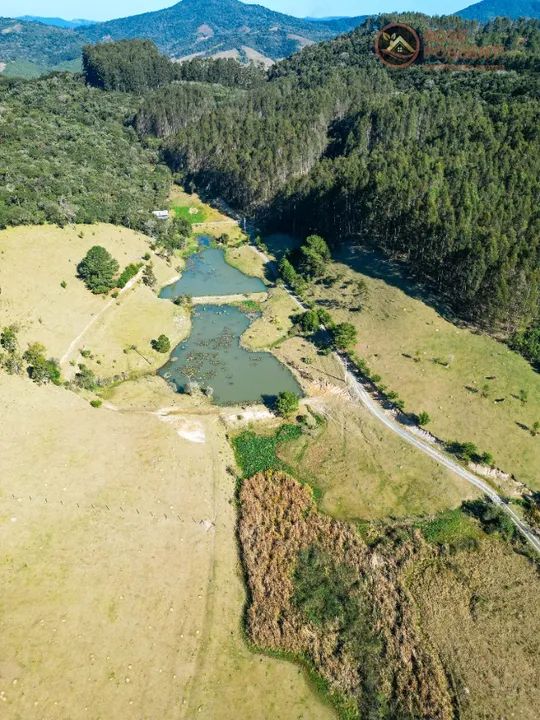 Chácara de 2 hectares - Serra Catarinense - Foto 4