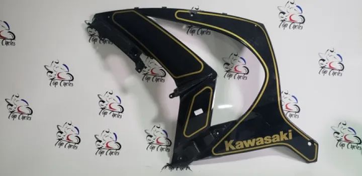 Carenagem Lateral Kawasaki Zx10 Zx 10 Original (10919)