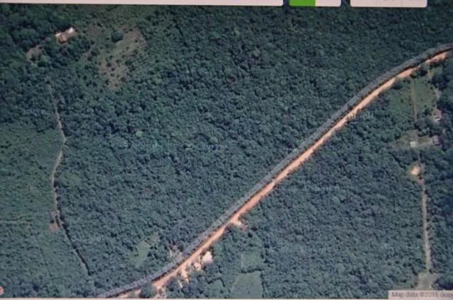 Terreno, 330.000m² em Vigia. - Foto 2