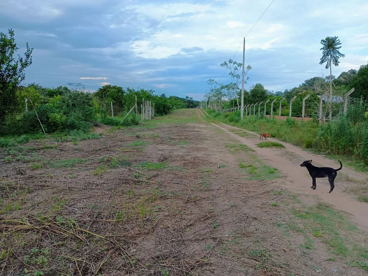 Terreno med. 12x50 na Morada do Sol , km 26 próximo ao 3 irmãos  - Foto 8
