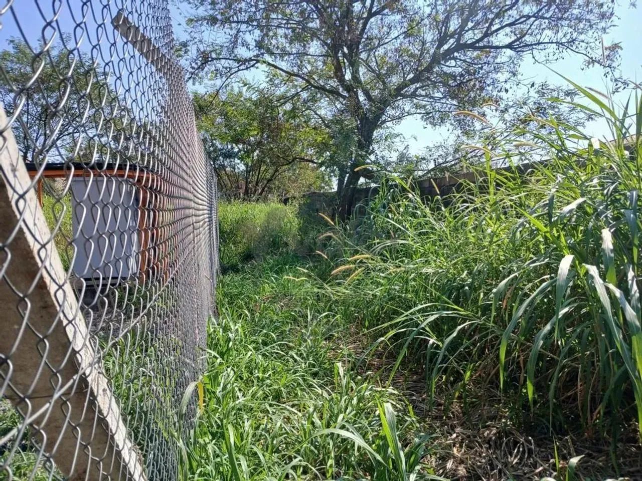 Terreno à venda em Campinas, Parque Taquaral, com 1097.6 m² - Foto 2