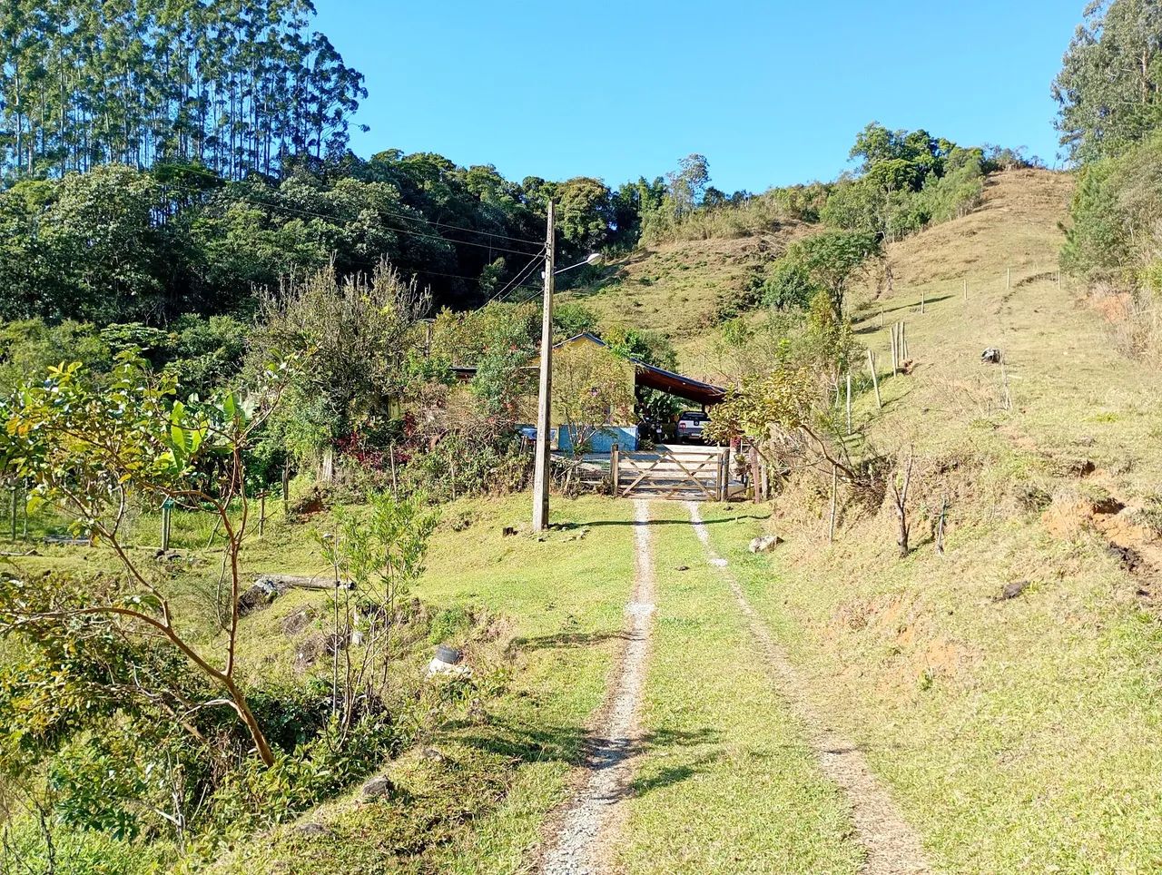 Sítio Águas Mornas  (Loeffelscheidt) VENDA OU PERMUTA  - Foto 5