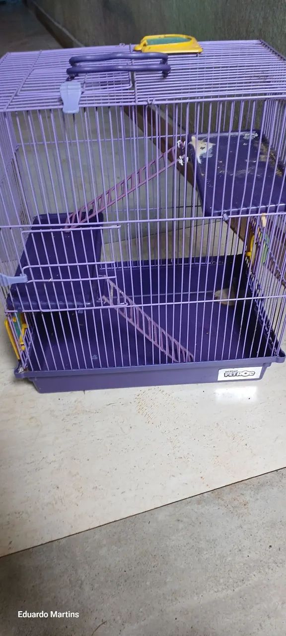 Gaiola para hamister 64606908417411122