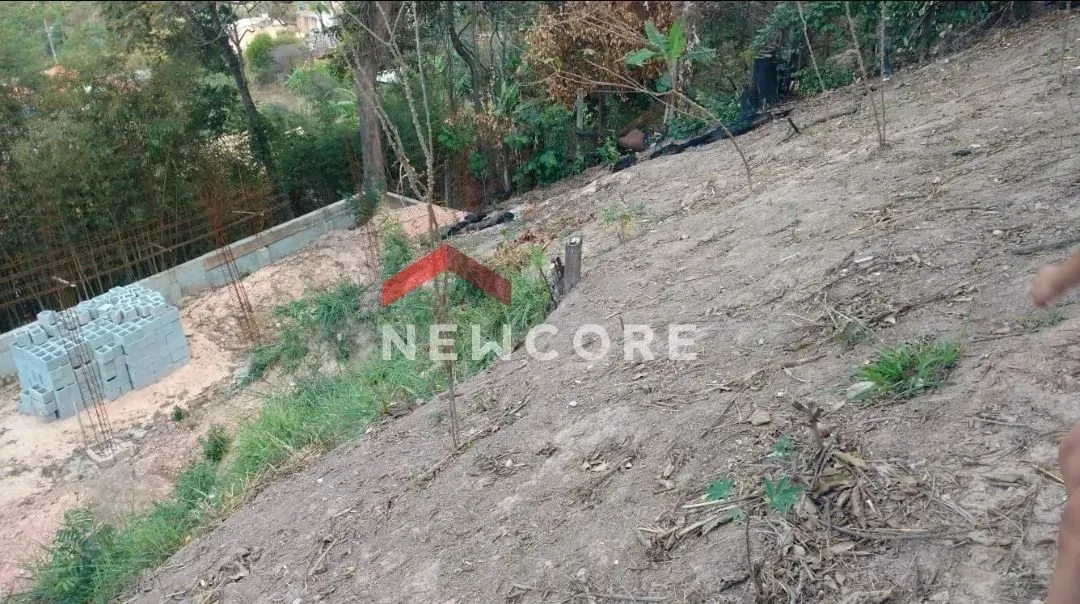 Lote em Rua Amaral - Beija Flor - Belo Horizonte/MG