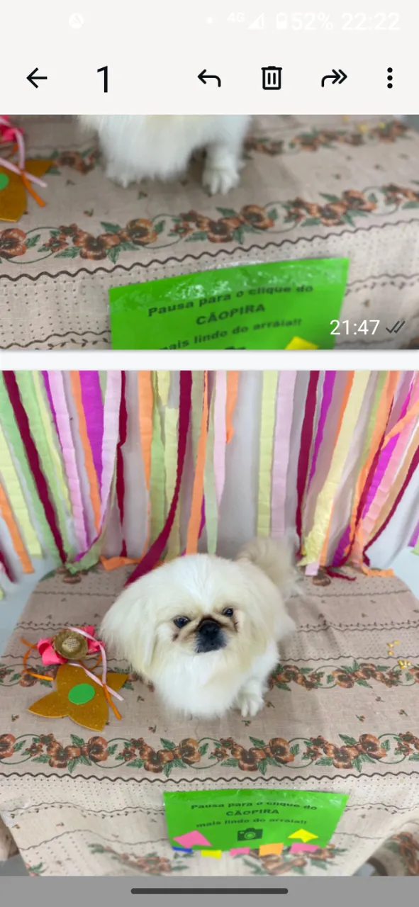 Procuro namorada em Maringá