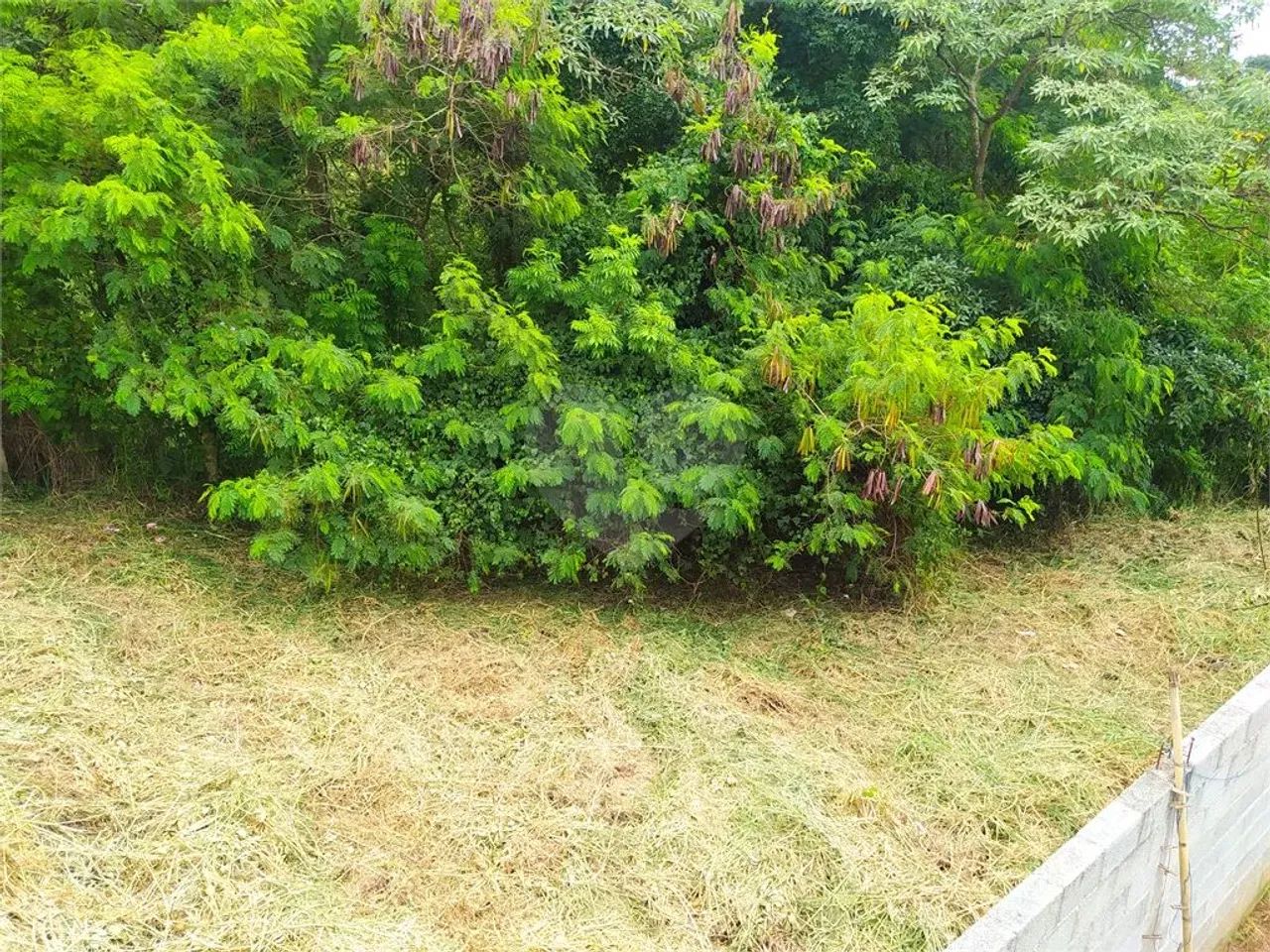 Terreno com 325 m² - Jardim Vinhas do Sol - Foto 5
