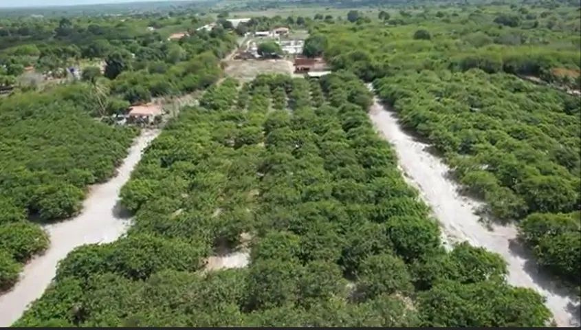 Excelente Sitio, Chácara a 50KM de Fortaleza .  - Foto 3