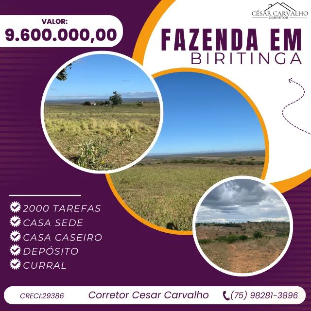 FAZENDA EM BIRITINGA - 2000 TAREFAS