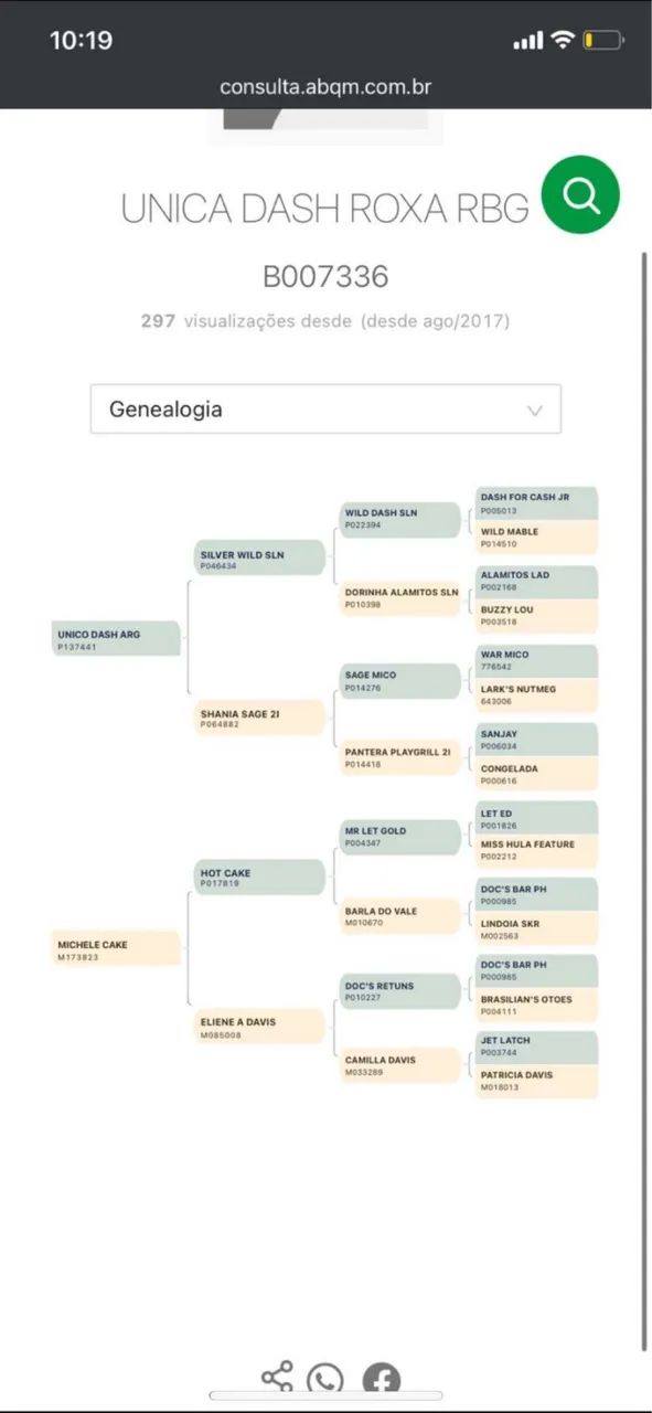 Vendo égua pura com documento  - Foto 3