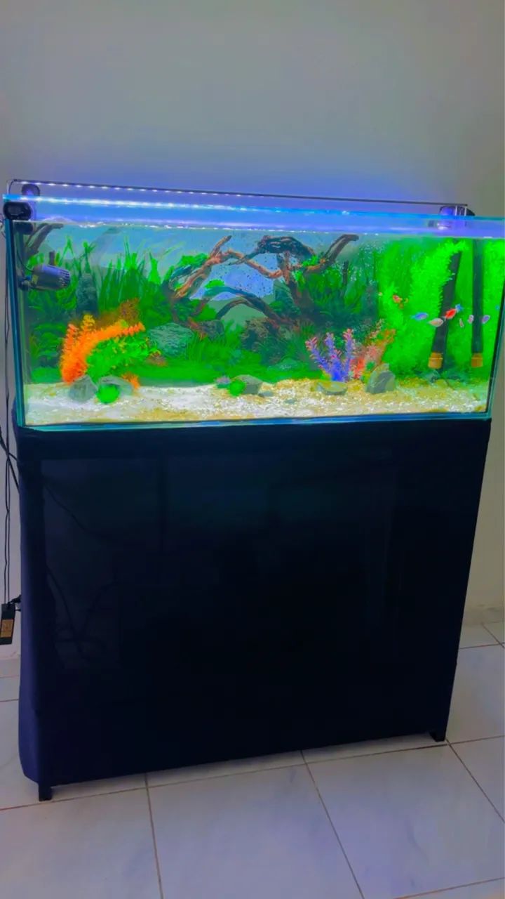 Aquário com tudo  - Foto 2