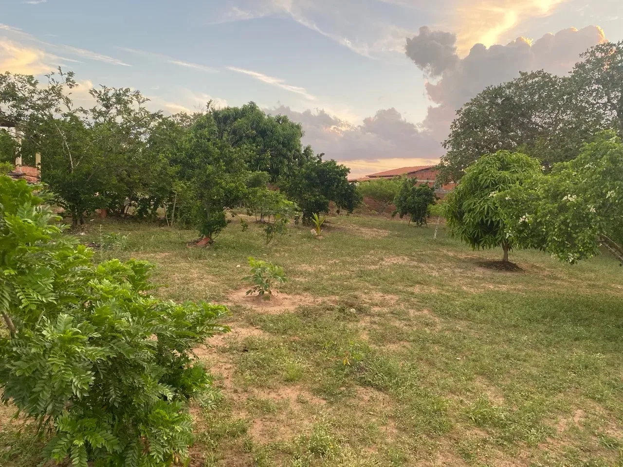Vendo sitio em Touros RN, com rio dentro