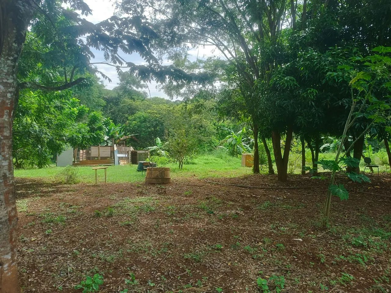 CHÁCARA RECREIO SAMAMBAIA - GOIANIA. - Foto 3