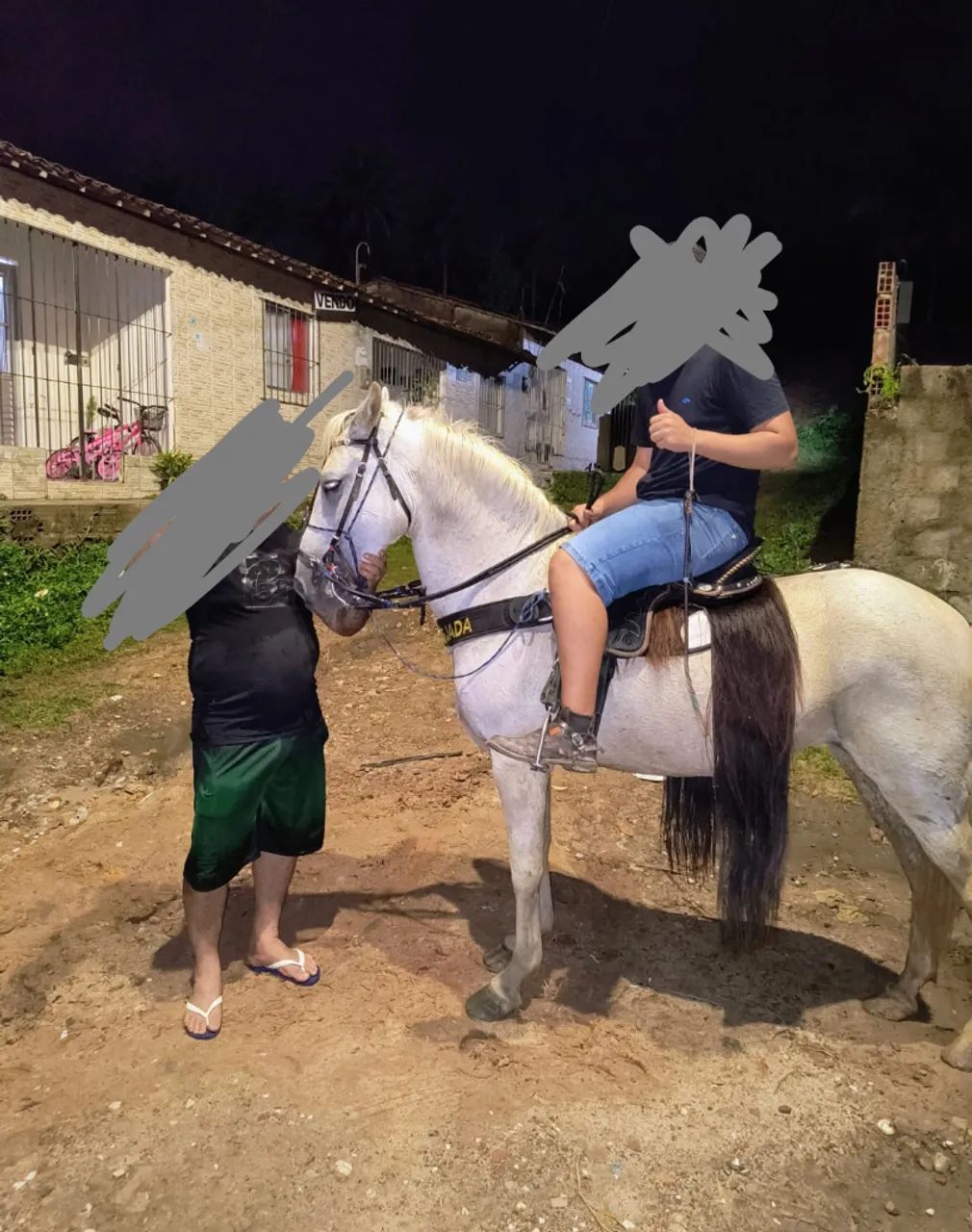 São dois Cavalos e uma égua  mangalarga ,machador c/ quarto de milha - Foto 3