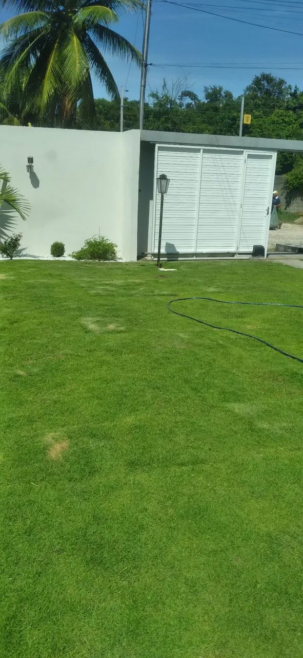 Grama para sombra - Foto 2