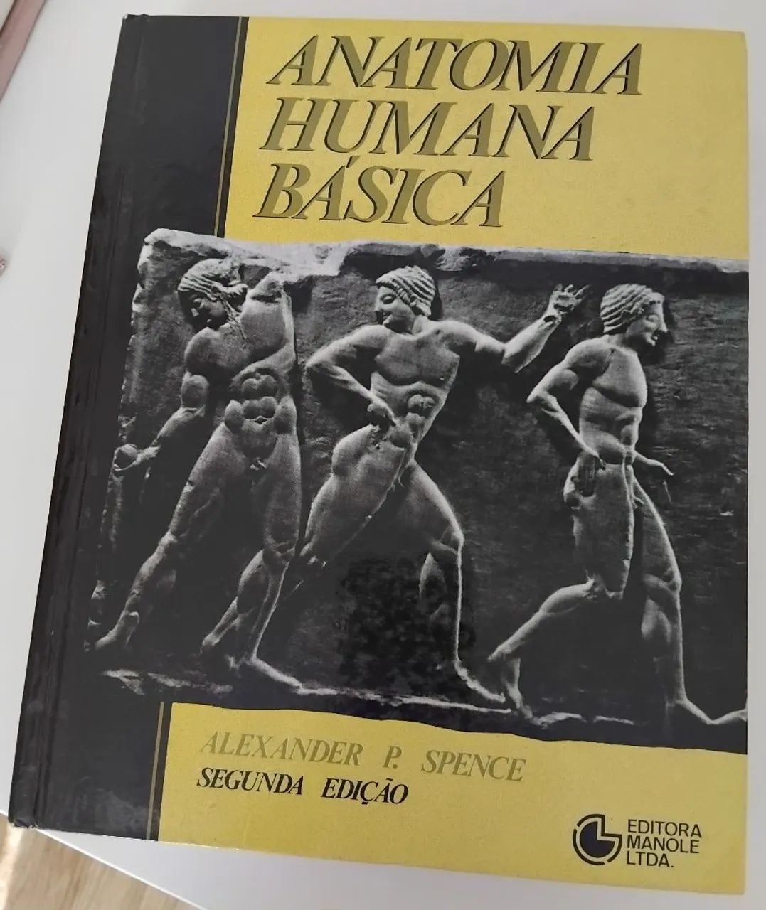 Anatomia Humana Básica - Spence