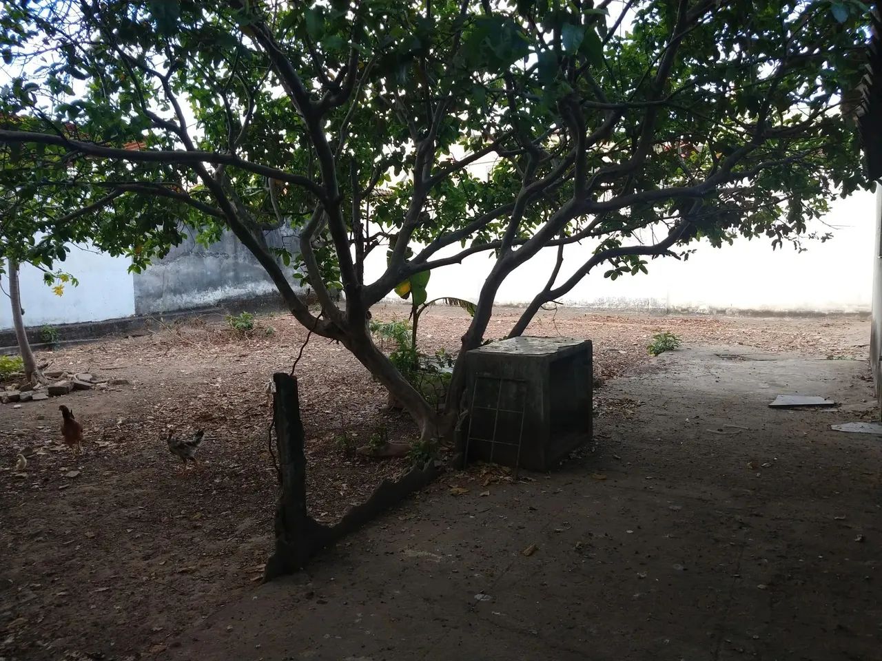 Lote - Terreno à venda, Santa Efigênia - Belo Horizonte/MG - Foto 13