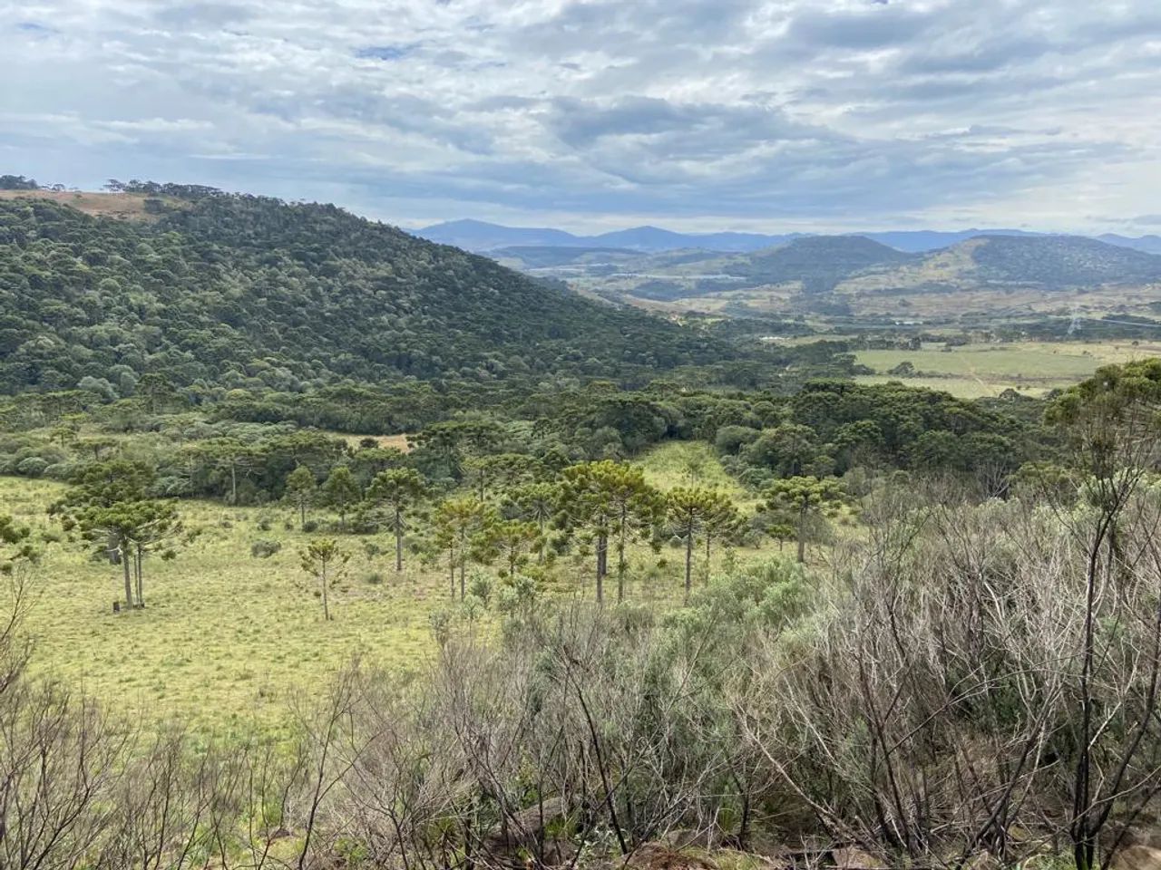 Terreno de altitude com 24 hectares à venda em Urubici/ São Joaquim. - Foto 4