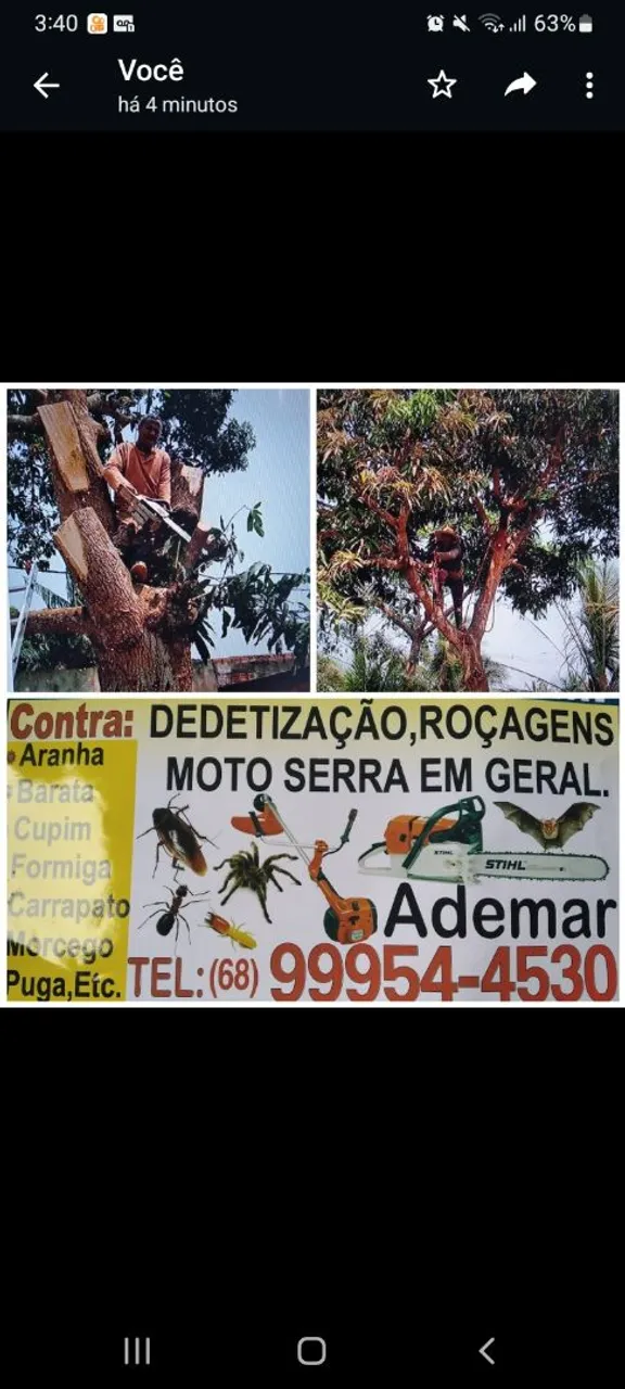 Limpeza de quintal