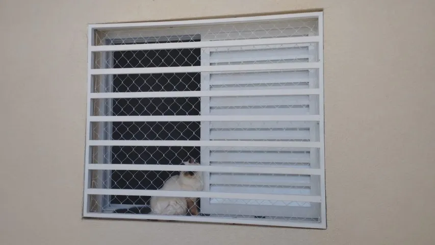 Proteçaõ residencial