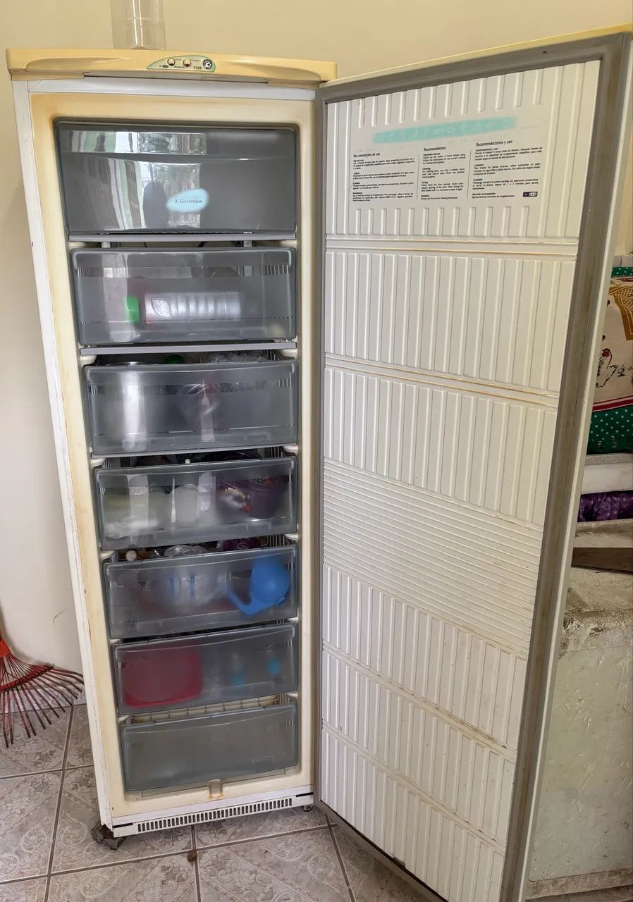 Freezer Electrolux