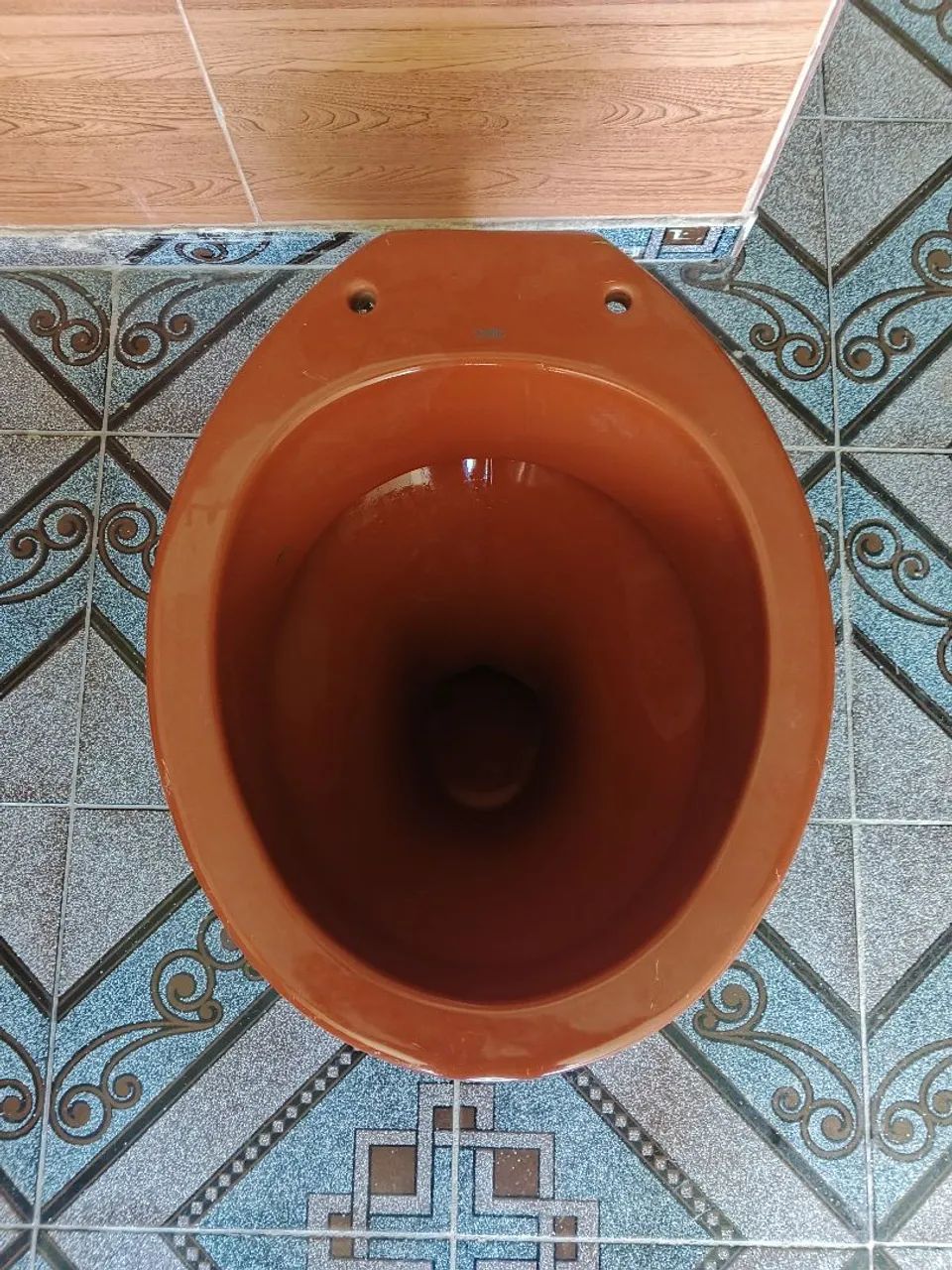 Brown Toilet Bowl