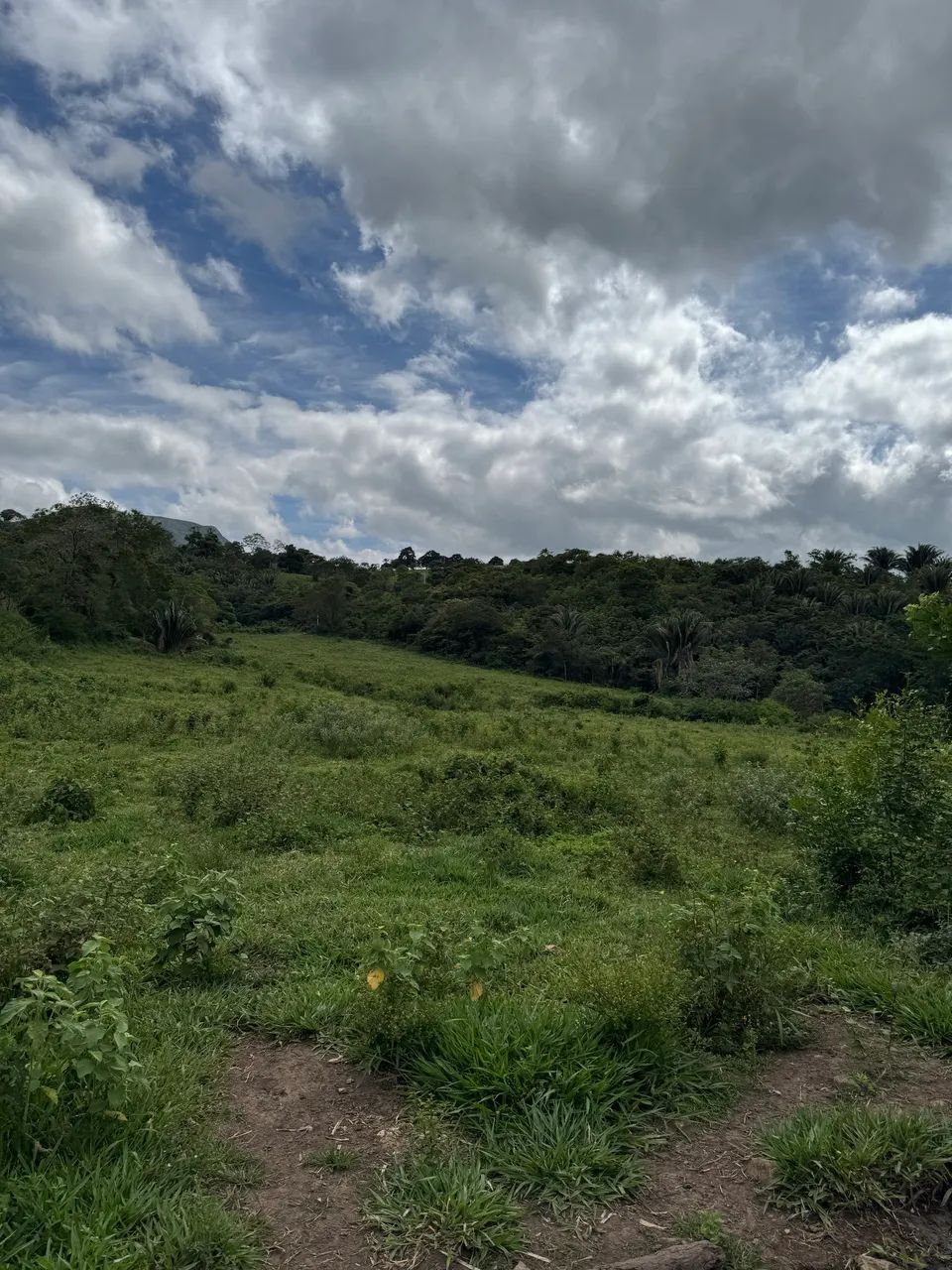Propriedade Rural em Itaitu - Foto 3