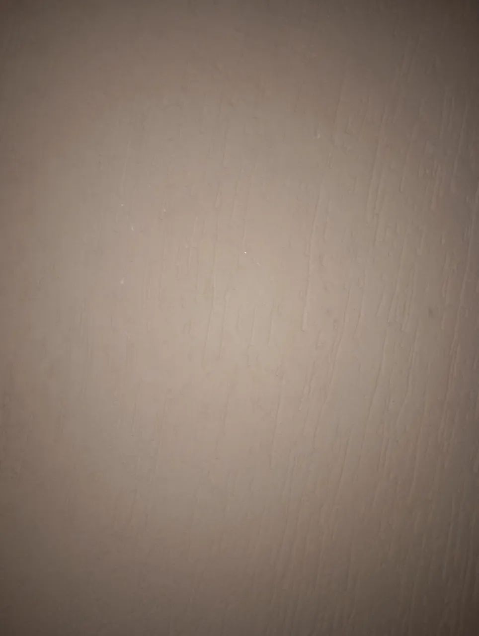 cuidadora temporária 