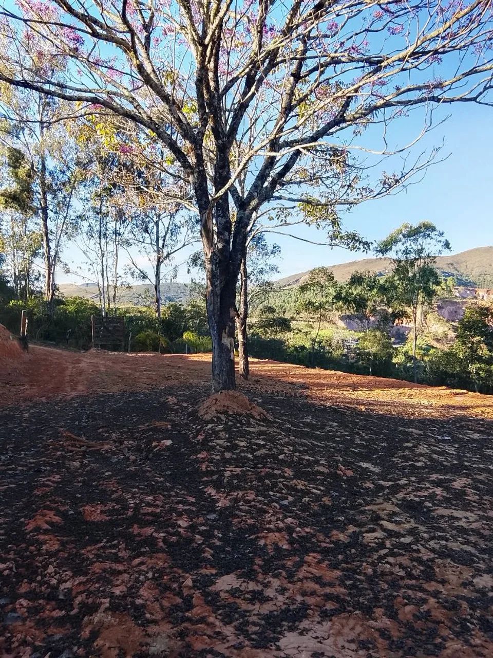 Chácaras/terrenos  a venda  - Foto 2