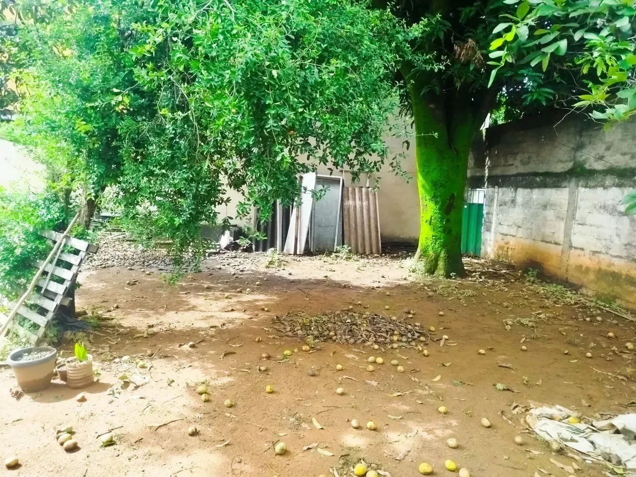 Lote com barracão no Tirol/ Barreiro - Foto 4