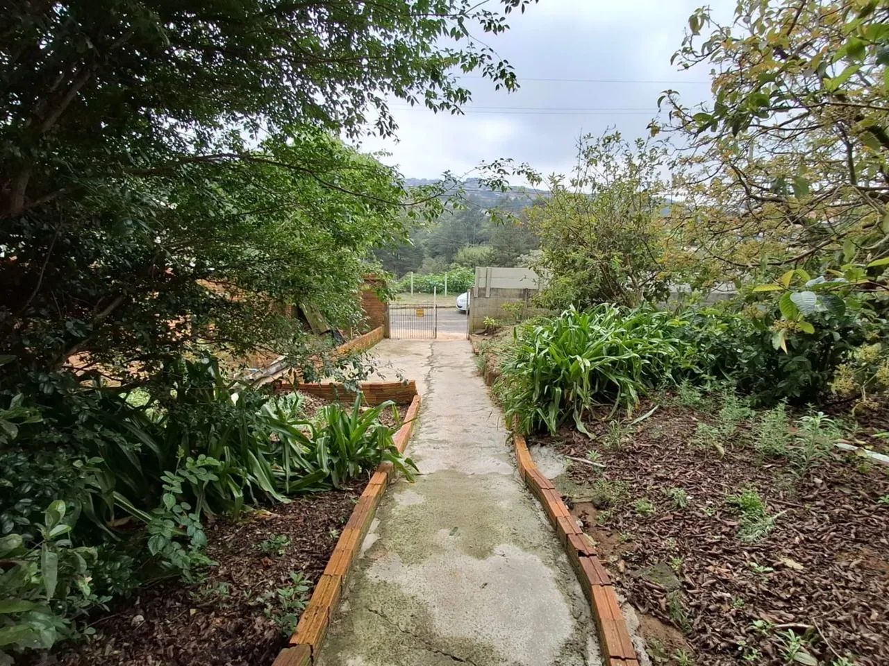 TERRENO À VENDA NO ÓRFÃS - Foto 4