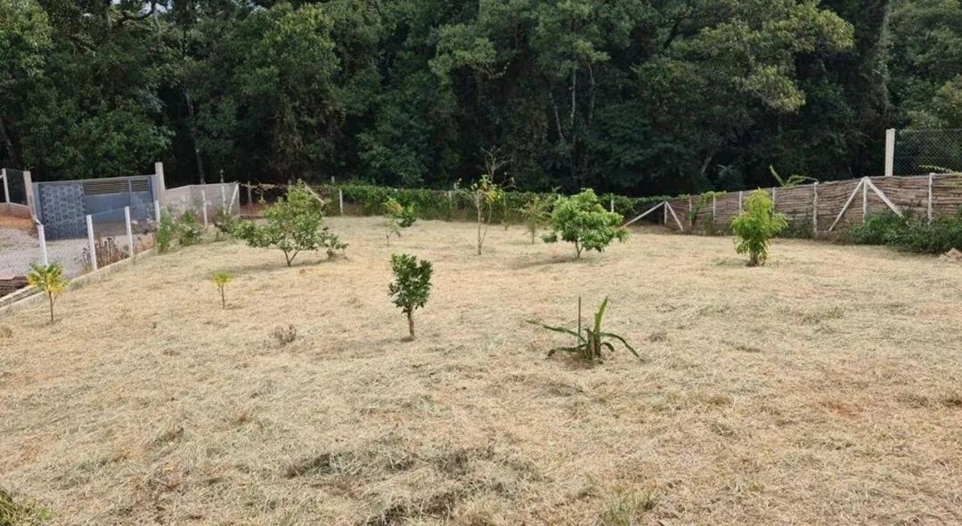 área - Pinhalzinho - Pinhalzinho - Foto 2