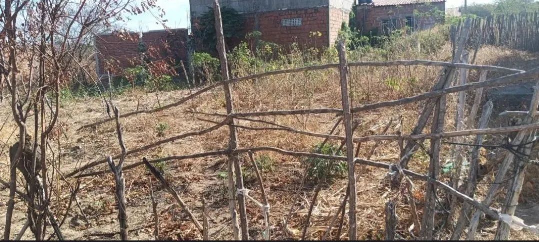 Lote em Baturité - Foto 2