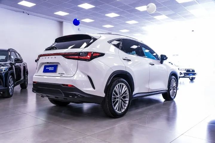 Lexus NX-350h Luxury 2.5 16V Aut. (hybrid), foto 19 de 20
