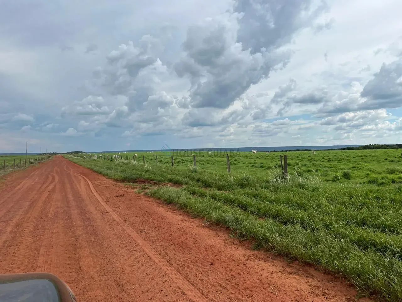 FAZENDA À VENDA  REGIÃO DE NOVA MUTUM  MT - Foto 3