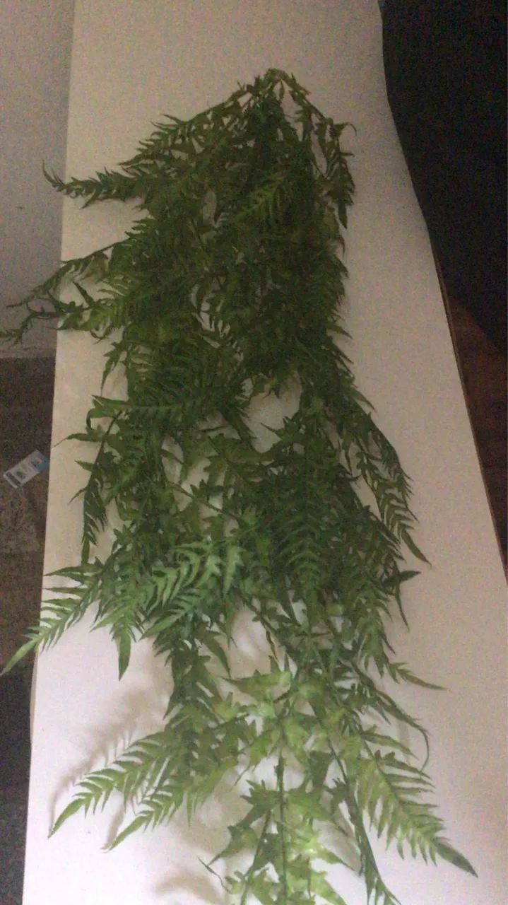 Plantas pendentes artificiais  - Foto 5