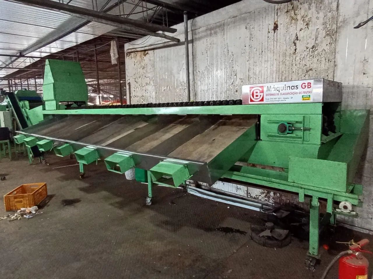 Máquina classificadora de tomate - Foto 2