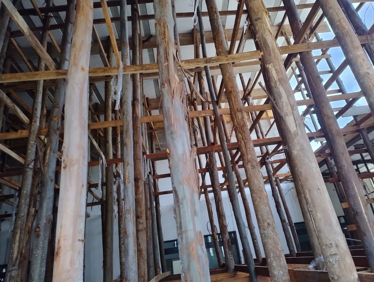 Madeira para construção  - Foto 4