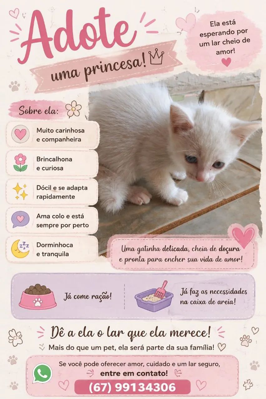 Adoção responsável 