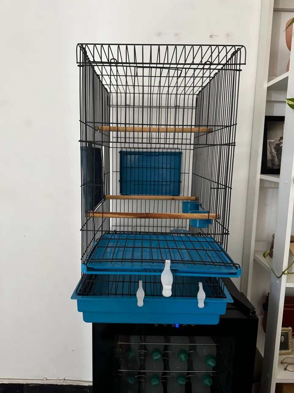 Gaiola - Foto 4