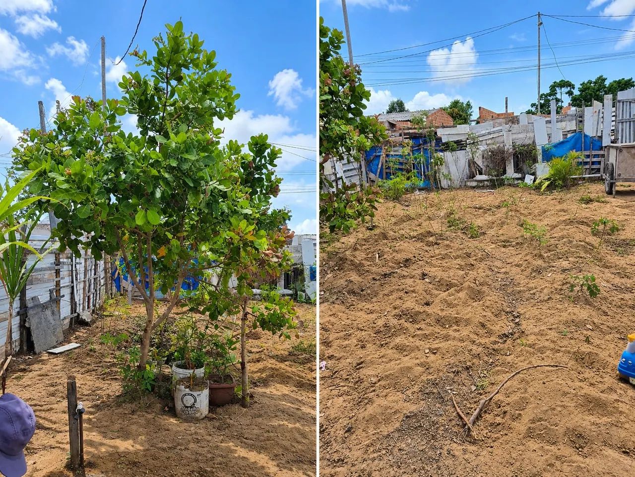TERRENO NO BENEDITO BENTES 1 - Foto 2