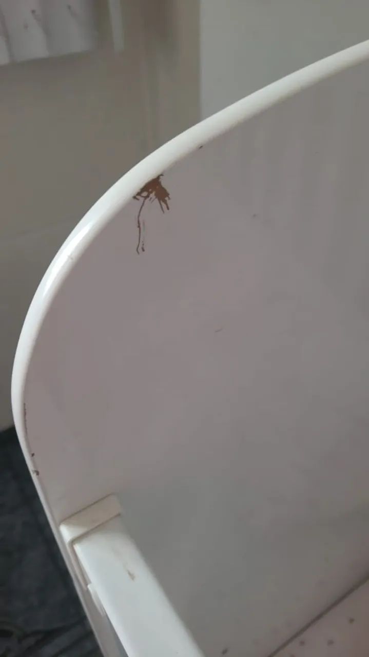 BERÇO TIPO AMERICANO COM COLCHAO D18. GRAO DE GENTE - Foto 4
