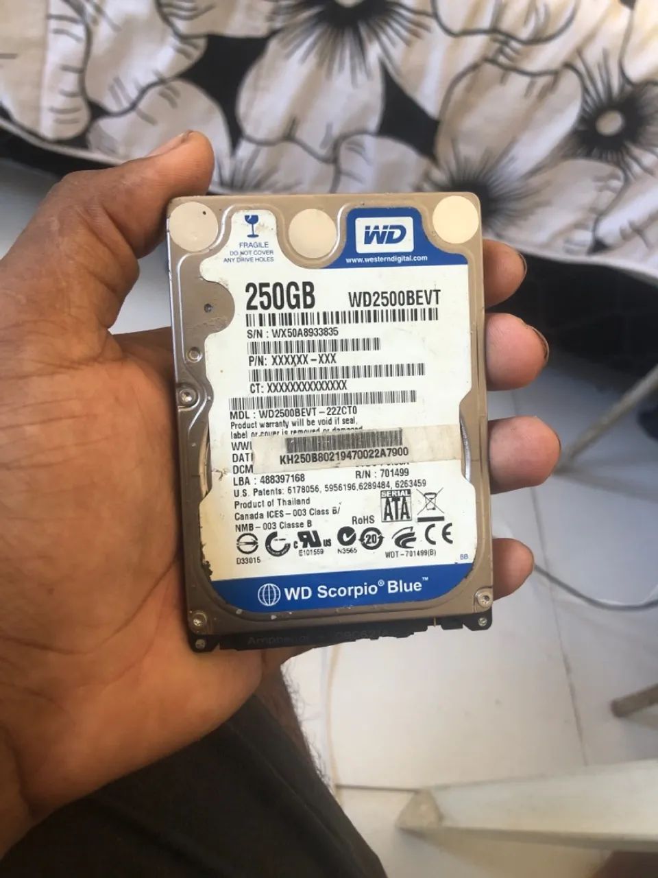 HD 250GB