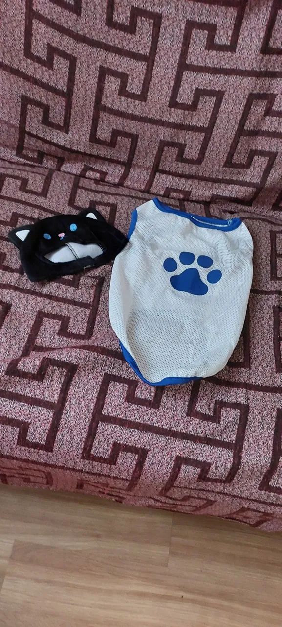 Caixa de transporte para Pets e acessórios  - Foto 4