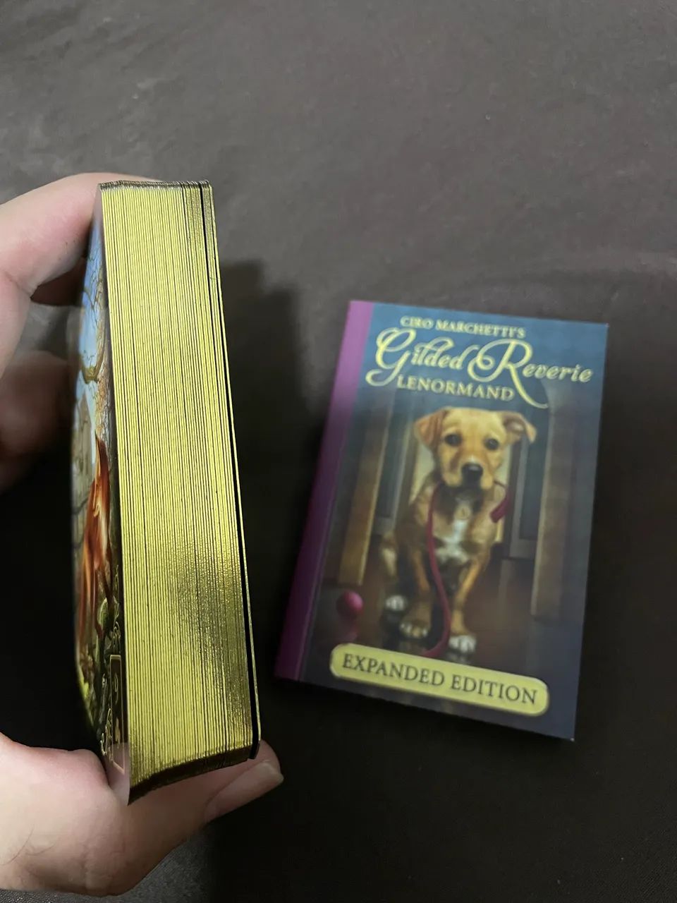 Ciro Marchetti Gilded Reverie Lenormand Baralho Cigano  - Foto 3
