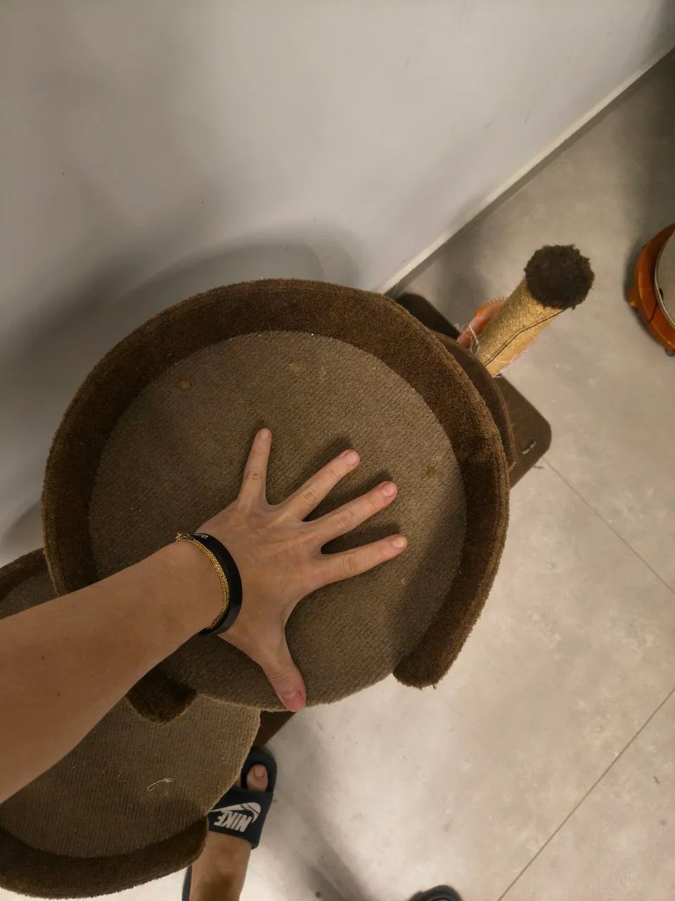 Arranhador para gatos - Foto 4