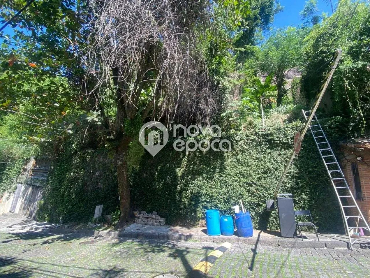 Laranjeiras | Terreno - Foto 4