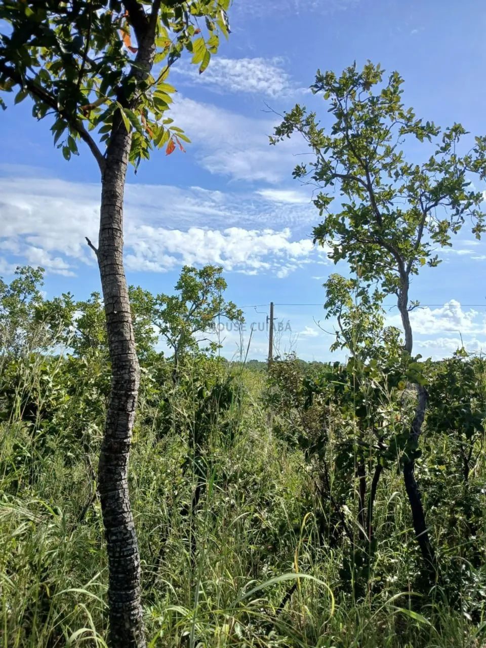 Terreno próximo da vila Aguaçu 10 km da capital Cuiabá MT. - Foto 2