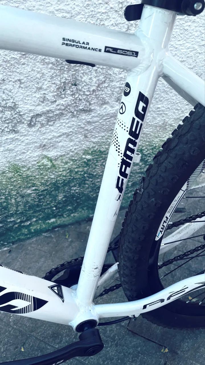 BIKE ALFAMEQ ARO 29 - Foto 2